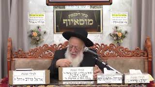 הרב יוסף חבה | בן איש חי | מוסאיוף (בית הכנסת מוסאיוף) - התמונה מוצגת ישירות מתוך אתר האינטרנט יוטיוב. זכויות היוצרים בתמונה שייכות ליוצרה. קישור קרדיט למקור התוכן נמצא בתוך דף הסרטון