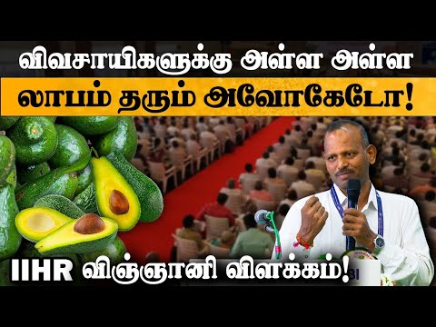 விவசாயிகளுக்கு அள்ள அள்ள லாபம் தரும் அவோகேடோ! Avocado farming | IIHR Scientist Dr Senthilkumar