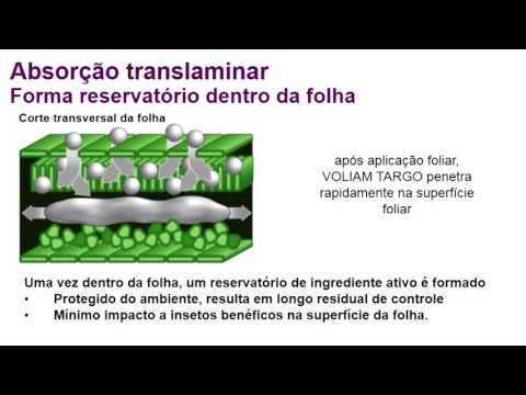 download lagu mp3 mp4 Volian Targo, download lagu Volian Targo gratis, unduh video klip Volian Targo