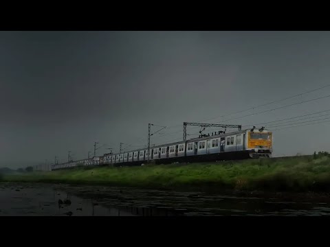 Rail Traffic in Hungary! Rail Freight Transport @therailwaytrack #trainvideo #railtraffic #wap