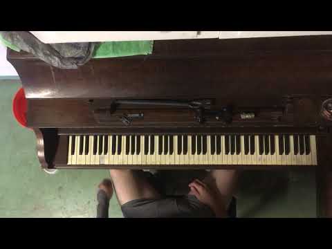 Underwear, Tattoos & Piano (An Entertainer Knockoff)