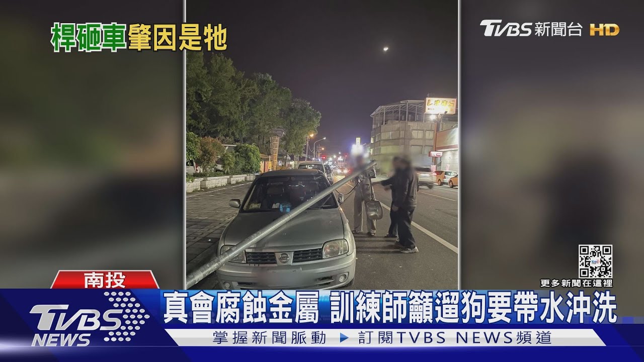 「狗撒尿」燈桿鏽蝕 路燈倒塌砸凹車提國賠