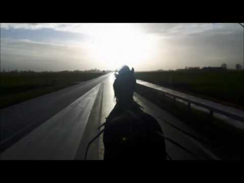 Stal Okkem's Heik voor de kar