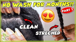 Clean and Stretched hair for MONTHS – NO WASHING (part 1)