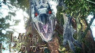 【切り抜き】限界までやり続けた後のMONSTER HUNTER WORLD：ICEBORNE トビカガチ 上位編