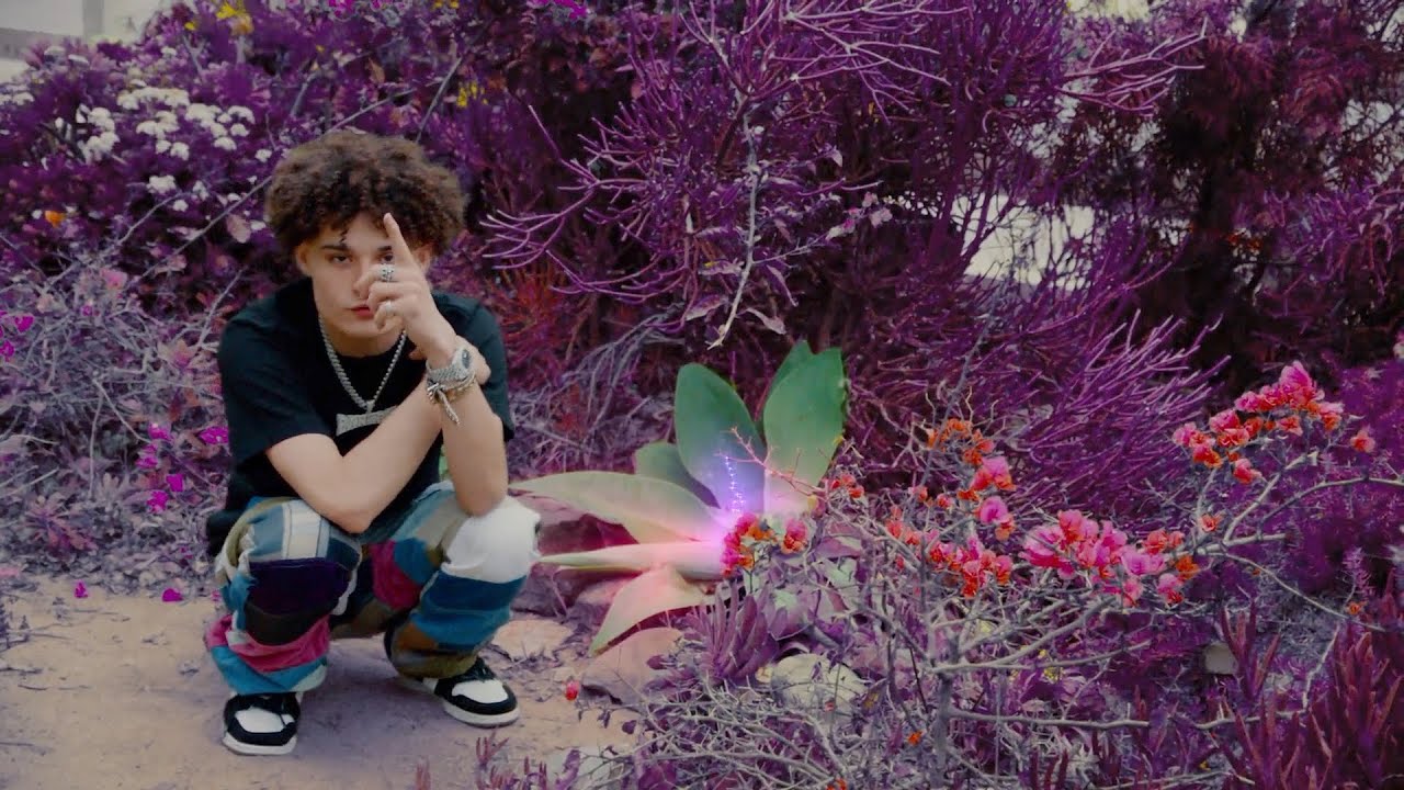 Bankrol Hayden — No Drama