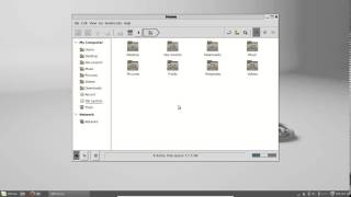 Find hidden files in Linux Mint 17