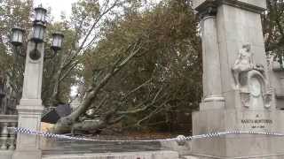 preview picture of video 'La llevantada provoca un esvoranc a la Rambla de Figueres'