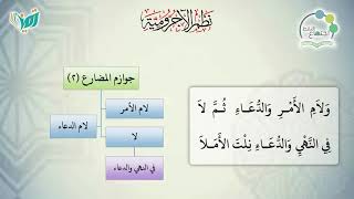 صورة شرح نظم الآجرومية مع التشجير | | 45 | | الشيخ البشير عصام المراكشي