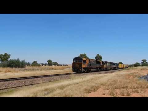 Junee Trains LDP008, 6005 & LDP003 with 7MB7