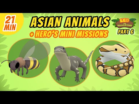 Asian Animals (Part 6/7) - Junior Rangers and Hero's Animals Adventure | Leo the Wildlife Ranger