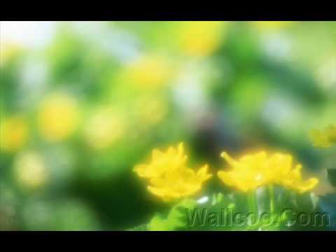 Wonder Child - Mary Black
