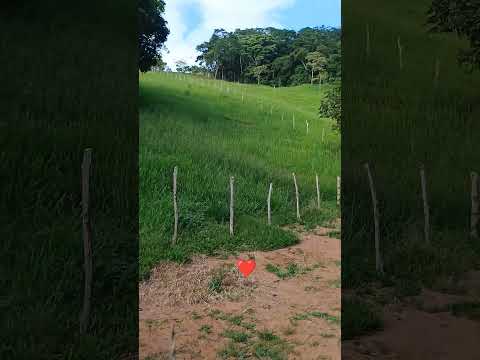 conceição de Macabu❤️ se inscreva no canal deixe seu 👍# interior #viral  #paisagemnatural