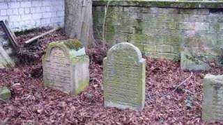 preview picture of video 'Deidesheim: Mazewot of the Jewish Cemetery / Grabsteine auf dem Jüdischen Friedhof'