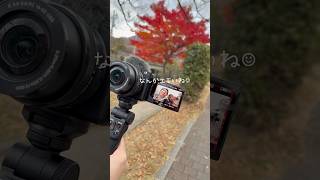 紅葉もクリスマスも最高かよ??#ももちゃんねる #shorts #たつももチャンネル #カップル #紅葉 #京都 #クリスマス #couple