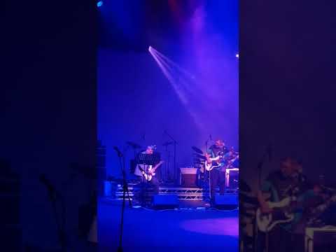 Comfortably Numb solo