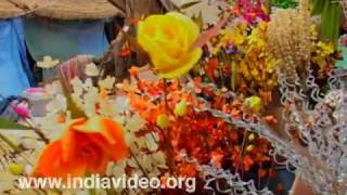 Artificial flowers at Surajkund Fair