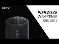 Портативная колонка Sony SRSXB13P.RU2