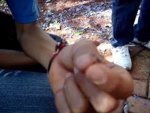 FORMIGA DE ASAS? MOV05465.MPG