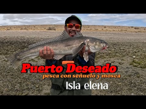 PESCA DE ROBALOS CON SEÑUELO Y MOSCA EN LA ISLA ELENA , PUERTO DESEADO , SANTACRUZ 