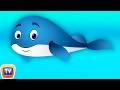 Blue Whale Nursery Rhyme ChuChu TV Animal Songs Nursery Rhymes For Children