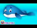 Blue Whale Nursery Rhyme | ChuChuTV Sea ...