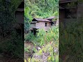 Perkampungan Penduduk Suku Dayak Siang Di Pedalaman Kalimantan Kalimantan Borneo