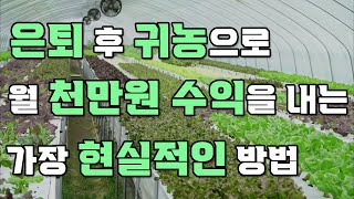 은퇴 후 귀농으로 월 천만원 수익을 만들 수 있을까? ㅣ 가장 현실성 높은 안정적인 은퇴 후 귀농 방법 ㅣ …