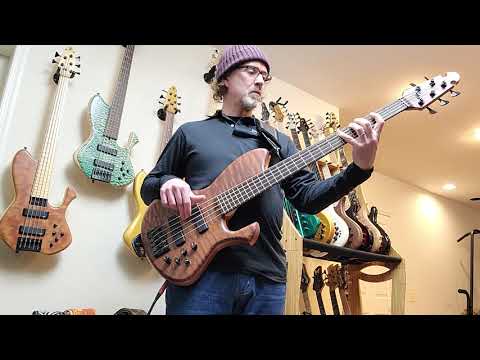 2020 Skjold Drakkar 5 string bass demo