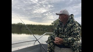 Где в астрахани ловят сазана