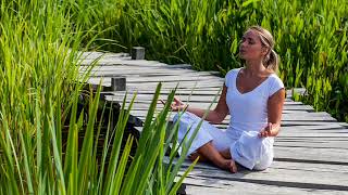 Relaxation au son de la harpe et du tambour de l'océan