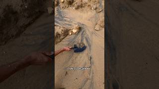 سر الرمال السوداء والذهب!
