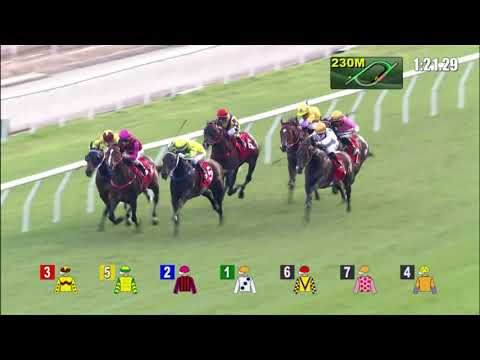21/11/2021 (193) Golden Sixty - Vincent Ho (G2, Jockey Club Mile, 18 Wins in Hong Kong! )