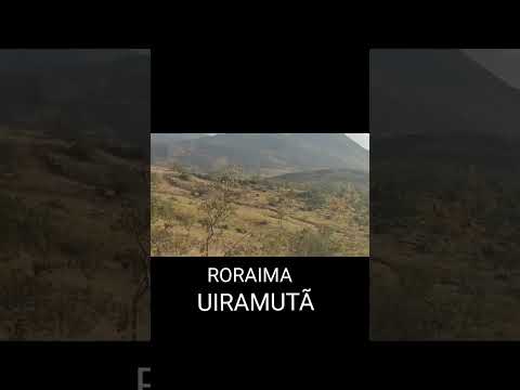 UIRAMUTÃ RORAIMA