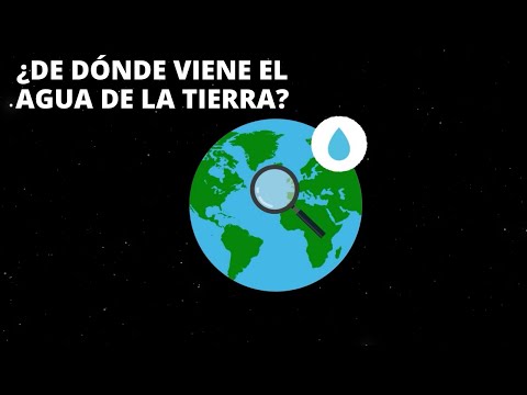 What is the origin of Earth's water?