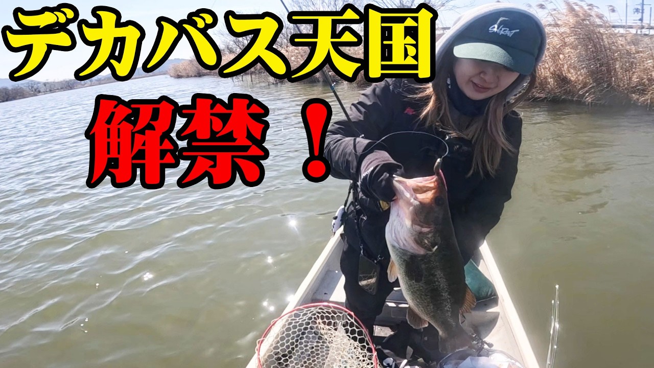 デカバス天国がついに解禁！！！【伊庭内湖】【バス釣り】【シャーベットヘアーチャンネル】【ミンコタエッジ45】【レンタルボート】