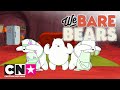 Wat Beren Leren | 8 dingen die je niet wist over ijsberen | Cartoon Network