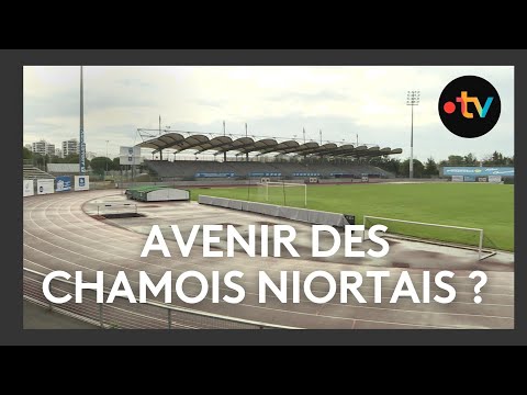 Les Chamois Niortais en liquidation judiciaire ?