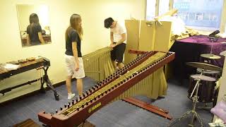 Video thumbnail for YAMAHA YM5100A 5 Oct Marimba *OPEN BOX* by Pinoku