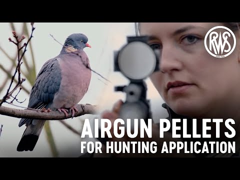 RWS FIELD LINE: Airgun pellets for hunting application