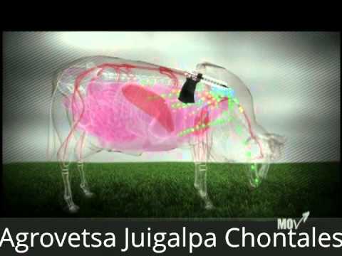 Mov - modificador organico distribuido por Agrovetsa