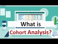 Cohort Analysis What It Is How To Use It And How To Present It