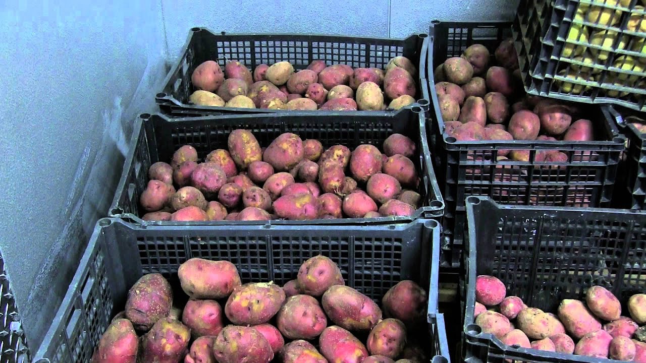 Watch video Shared Use Kitchen Now Shared Use Kitchen