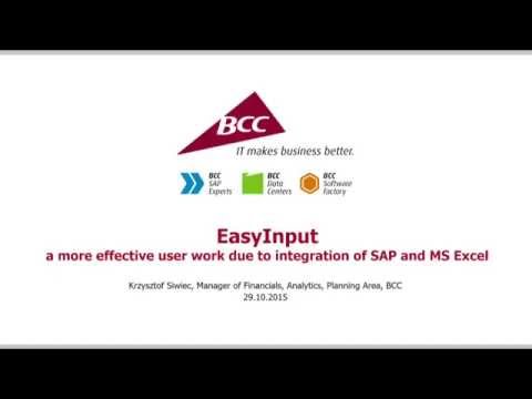 EasyInput – try a more effective user work due to integration of SAP and MS Excel