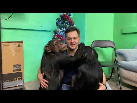 Пожелания с Новым 2020 годом