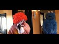 Ronald McDonald Vs Cookie Monster Big Bird