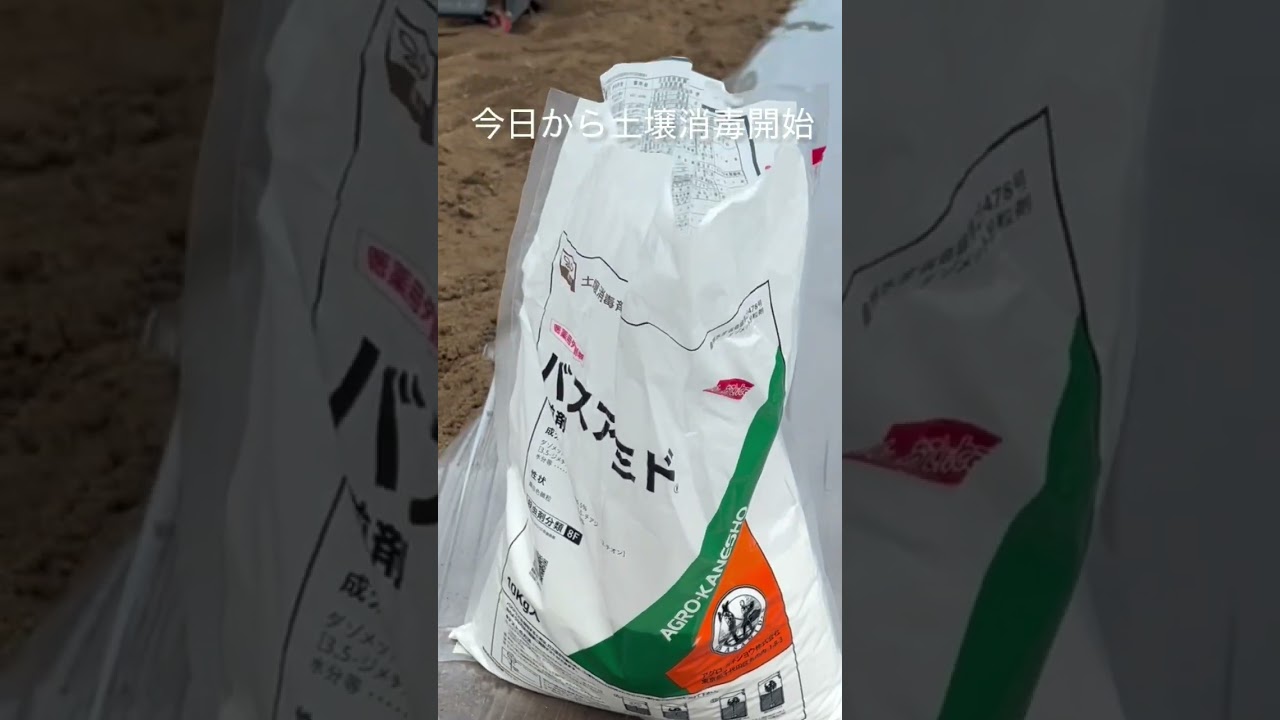 玉ねぎ種まき準備　バスアミドで土壌消毒開始です #水抜き #農業