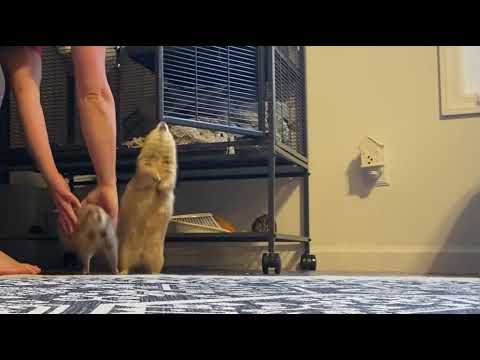 Yahoos to start the day!