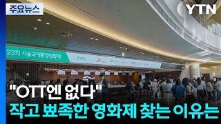 "OTT엔 없다"...작고 뾰족한 영화제 찾는 이유는 / YTN