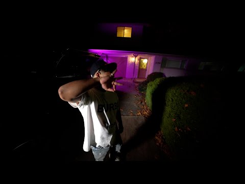 TrackMoney P - Daily Revenue